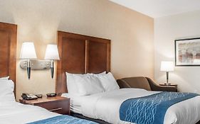 Comfort Inn & Suites Hamburg - Buffalo South
